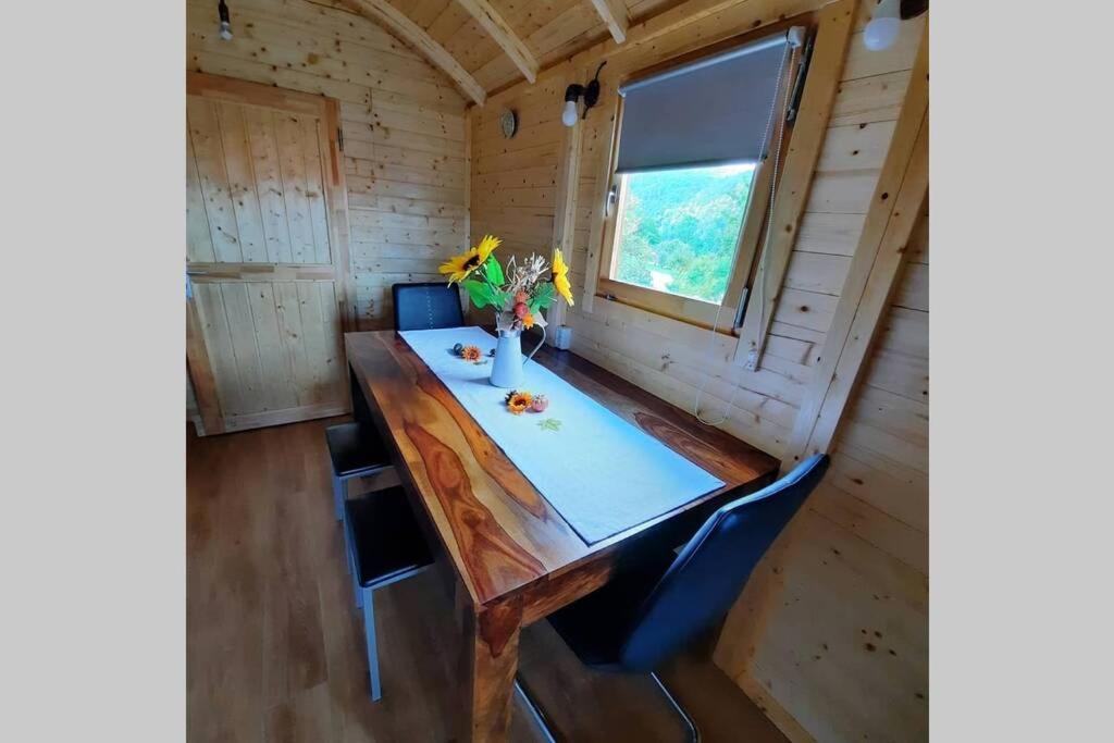 Apartment Autarkes Tiny House Mit Rheinblick